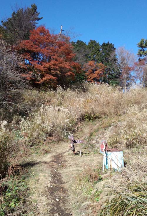 すすきと道標